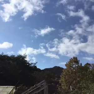 昨日は、越木岩神社にお参り⛩御神体へのお参りの帰り道、神々しいお光を承けましたよ。のサムネイル