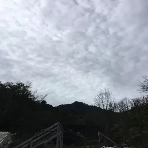 昨日は、高野山詣り。無事空海さんにご挨拶できました。今日からアリスは再スタートです。のサムネイル