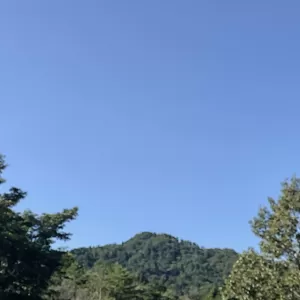 昨日は重陽の節句。総勢３４名の六甲山探訪ツアーの洋風精進料理のランチ会🥢不思議の国の秋お楽しみくださいね。🤗のサムネイル
