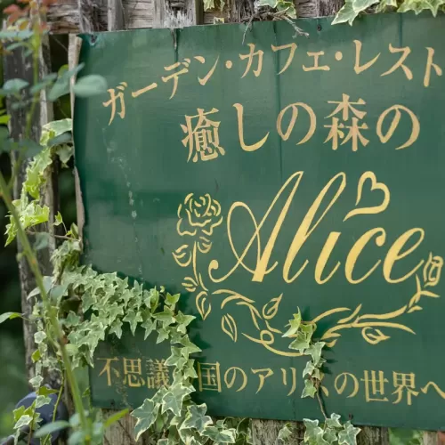 Aliceの庭のサムネイル