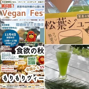 11月４日西宮市役所前公園で開催されるビーガンフェスタに出店します。その１　松葉ジュースのサムネイル
