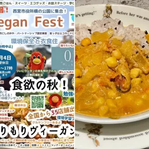 11月４日西宮市役所前公園で開催されるビーガンフェスタに出店します。出品商品4 ビーガンカレーのサムネイル