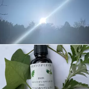 自然療法との出会いのサムネイル