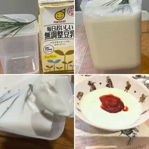 量子の国のアリス自然療法　松葉はすごい。松葉と豆乳だけで作るヨーグルトで腸内環境を整える。❣️のサムネイル