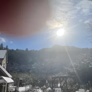 今朝は初雪＆アリスが手作り料理にこだわるわけのサムネイル