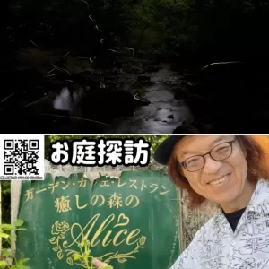 蛍＆薔薇鑑賞ディナーとAliceのお庭訪問YouTube公開のお知らせのサムネイル